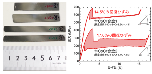 2.5%超の弾性歪みと超弾性特性を示すCoCr合金