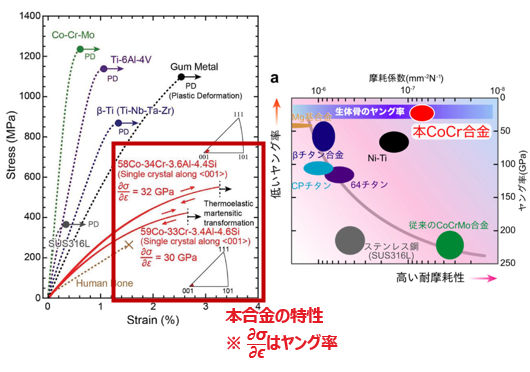 2.5%超の弾性歪みと超弾性特性を示すCoCr合金