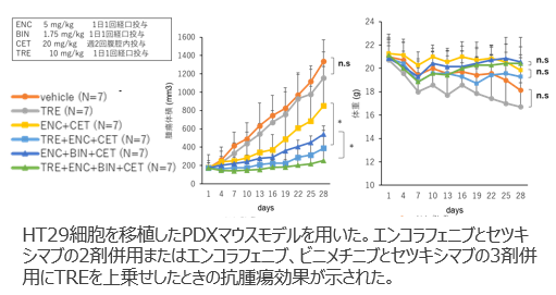 レチノイド受容体アゴニストとBRAF阻害薬を含む治療薬を組み合わせた治療
