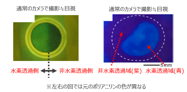 金属材料の水素検出システム