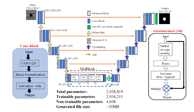 生体画像処理プログラム