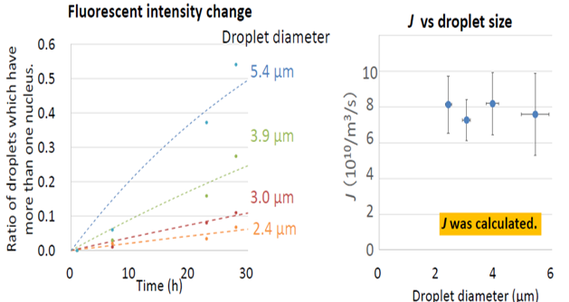 液滴中タンパク質凝集核生成頻度評価法