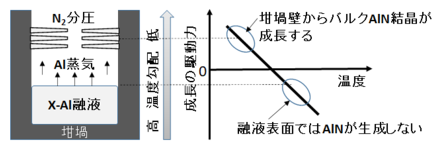 単結晶の窒化アルミニウム種晶