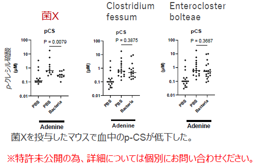 尿毒症物質を低減する腸内細菌