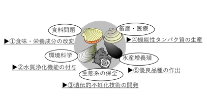 水生無脊椎動物用プロモーター