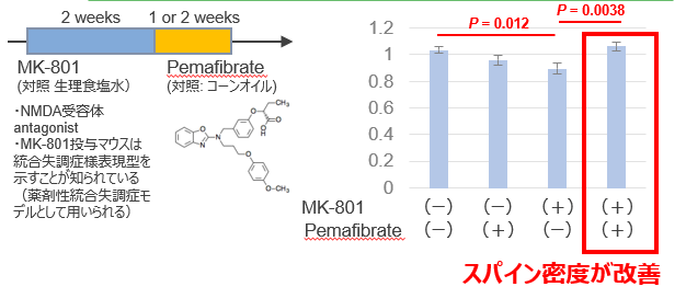 認知機能を改善するPPARα作動薬