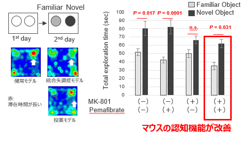 認知機能を改善するPPARα作動薬