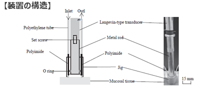 粘膜細胞採取装置
