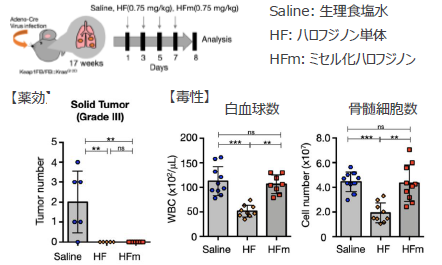 高分子ミセル化ハロフジノン抗がん剤
