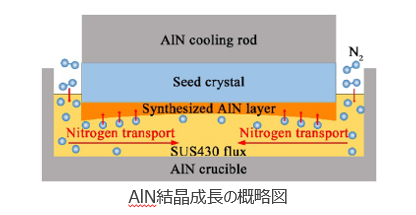 窒化アルミニウム結晶