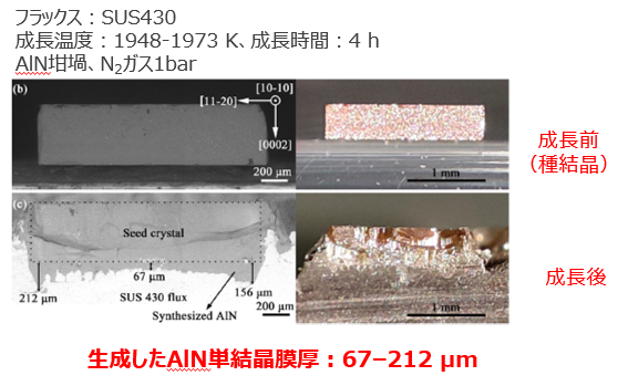 窒化アルミニウム結晶