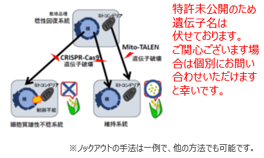 １系統から雄性不稔形質を作出する方法
