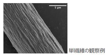 セルロース単繊維の創製