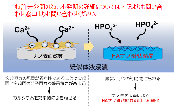 階層化ナノ表面チタン基材および複合体