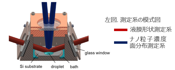 ナノ粒子の分布測定装置