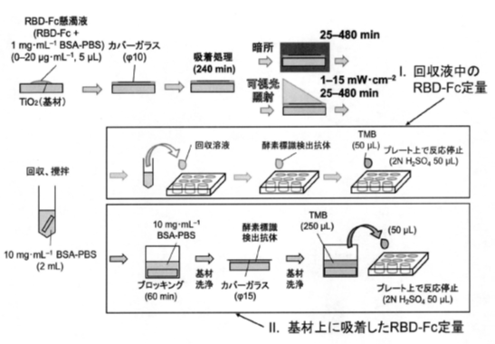 光触媒のタンパク質分解能評価
