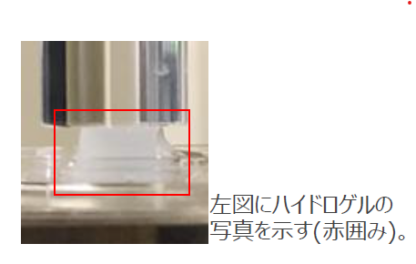 セルロースナノファイバー(CNF)ゲルの創製