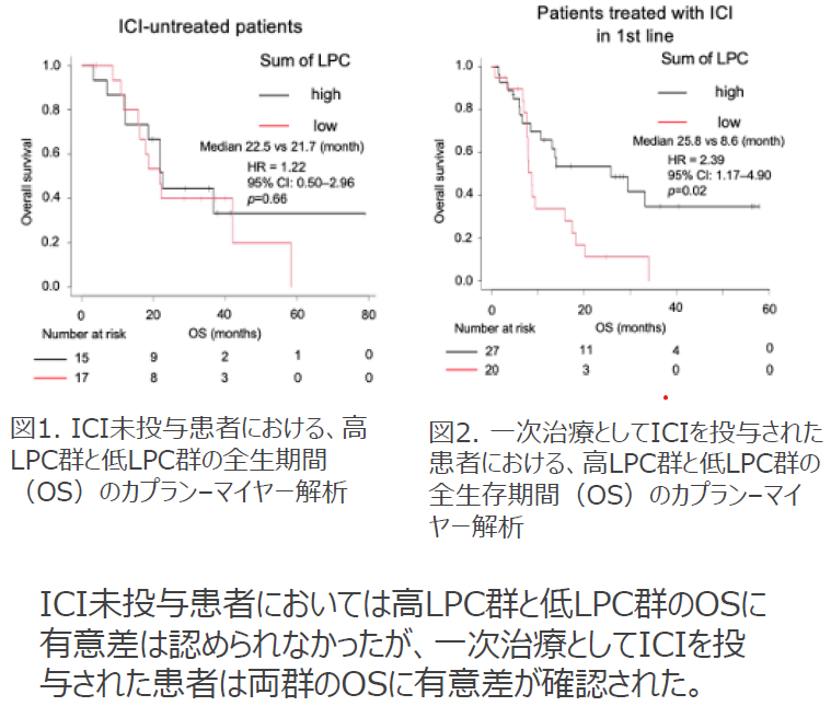 免疫チェックポイント阻害剤の効果予測マーカー