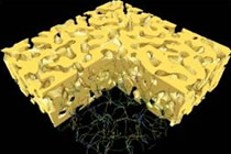 ナノポーラス構造金属薄膜