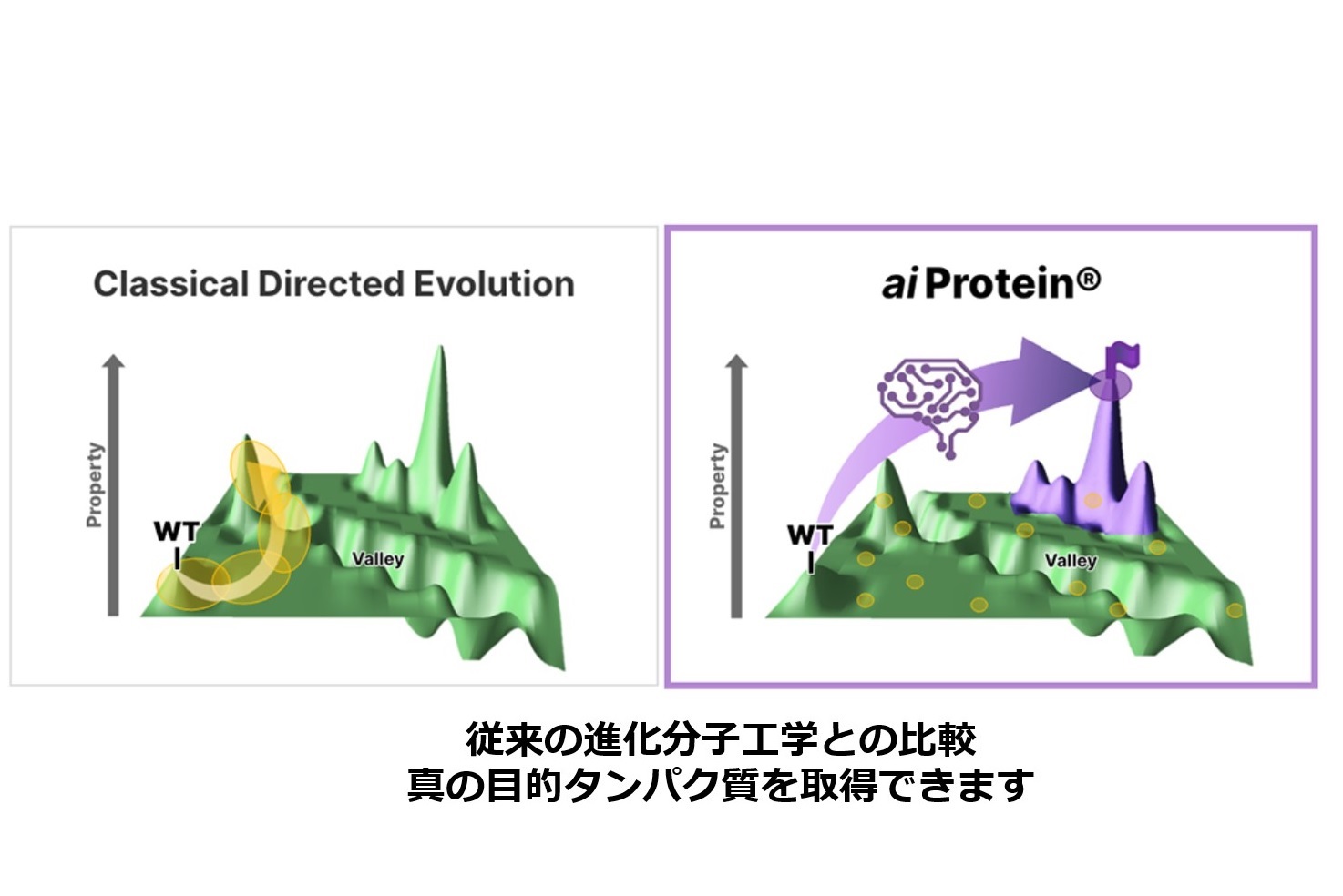 AIタンパク質工学技術：aiProtein®